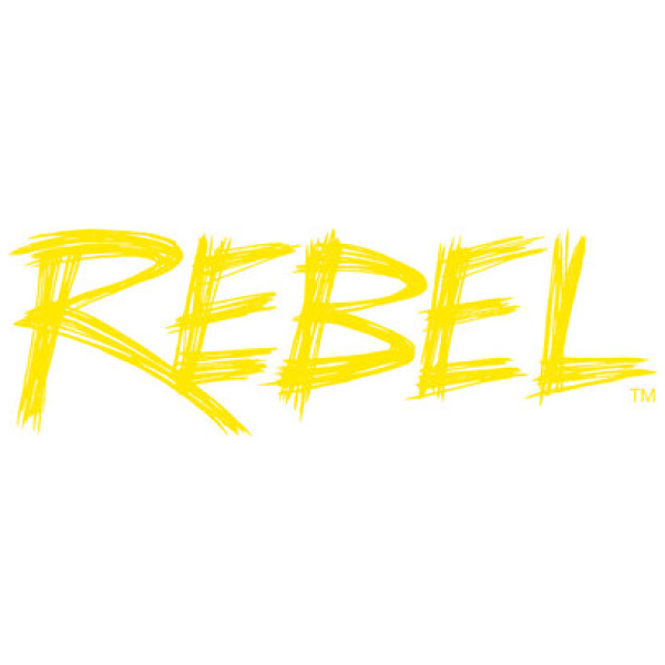 ESAB Rebel EMP 235ic - Image 2